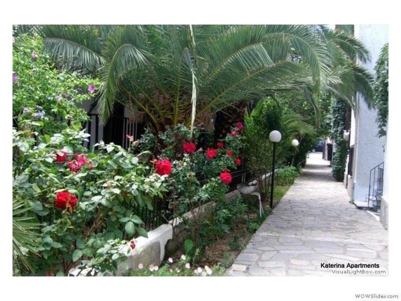 Katerina Apartments เปฟโกโฮรี ภายนอก รูปภาพ